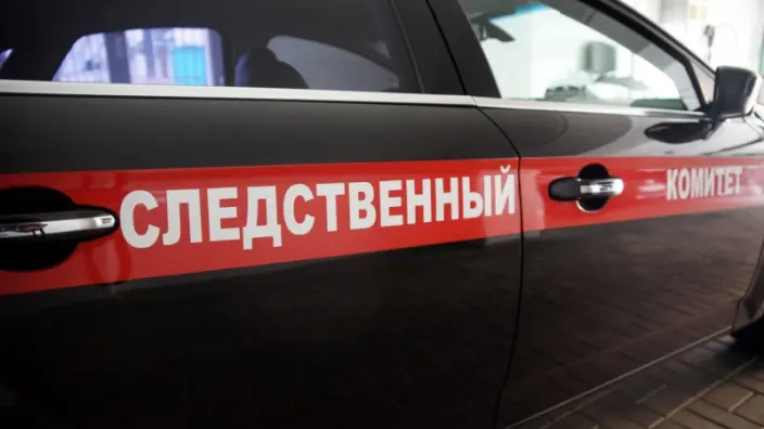 Бастрыкин взял под контроль дело о насилии над девятилетним школьником из Челябинска