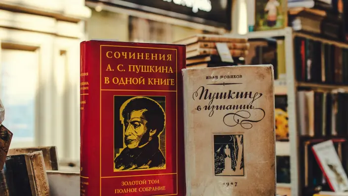 Профессора финских вузов выступили против закрытия программы русского языка в Турку